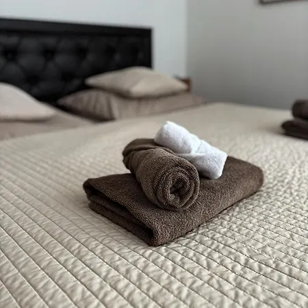 Ubytovani Pod Borovou Pensjonat 3*