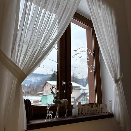Penzion Ubytování pod Borovou